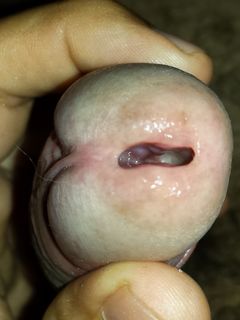 TUTTO PER LE PUTTANE DI AMAPORN