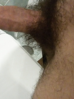 Il mio cazzo Parte 2