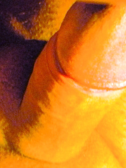 VOGLIOSO