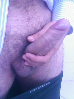 il mio fedele amico