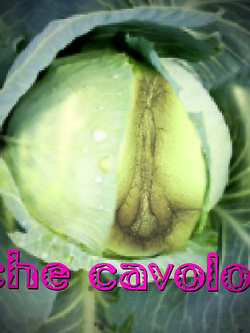 fotomontaggi