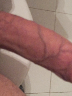 La mia bestia 