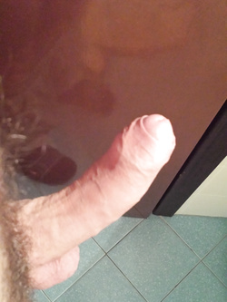 Il mio compagno