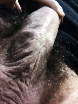 È sempre duro ... Cerca qualche troia da scopare