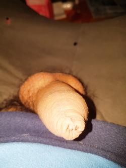 Il mio pisellino ancora vergine