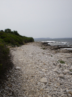 car-sex..esibizionismo..