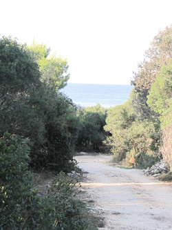 car-sex..esibizionismo..