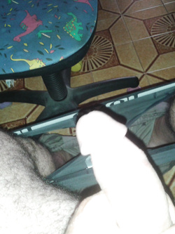 Il mio cazzo Parte 49