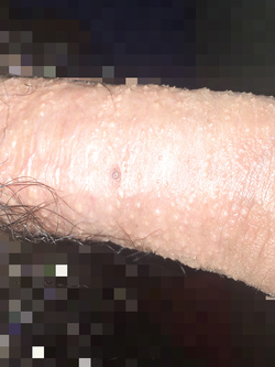 Com'è il mio cazzo?