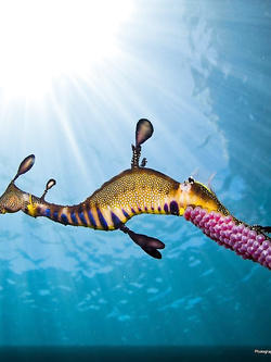 Raccontandovi in breve come sono