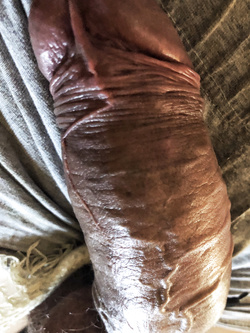 Il mio cazzo pronto per voi