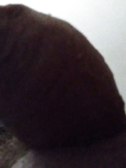 Amico bisex si offre per fare da bull o la troia