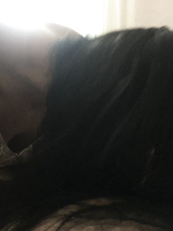 Quando ha voglia si fa fare di tutto