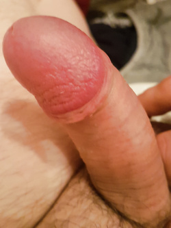 Pisello