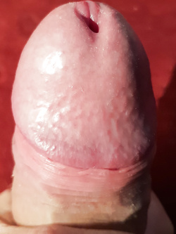 my pen