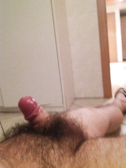 Sessocazzuto