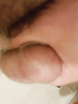 le palle