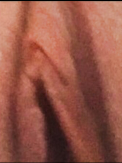 Nuove foto per voi
