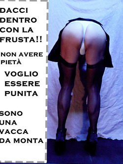 La vostra vacca
