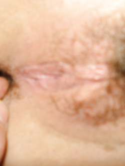 AMICHETTA