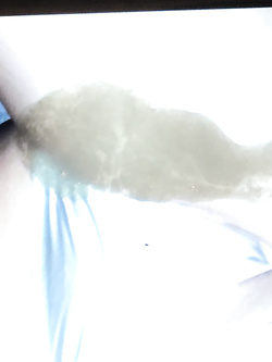 Tributo Parte 5