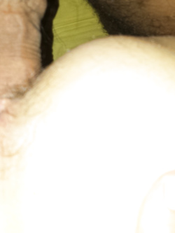 ME LA SCOPO