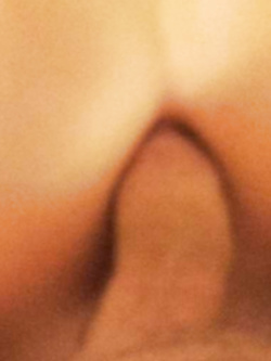 La mia porca Parte 12