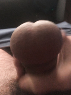 Segata