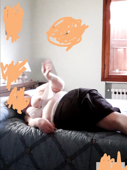 Sempre la vacca di Modena