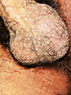 Il mio cazzo ancora