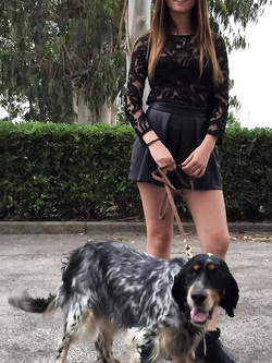 Troietta il seguito