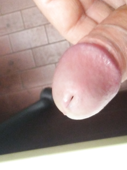 La minchia Parte 2
