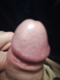 Cazzo Parte 48