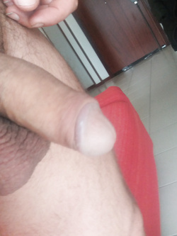 appena sfornate