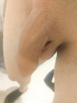 Cazzo moscio