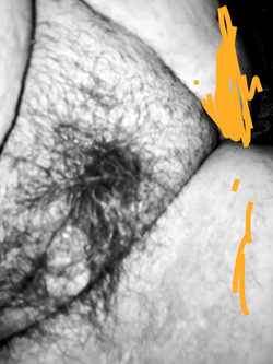 Culona