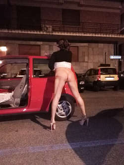 Antonella la porca