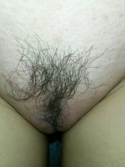 Troietta universitaria italiana