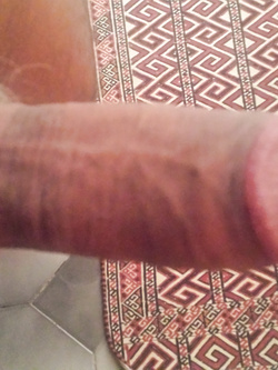 Cazzo 23 cm