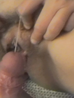 6 un porco