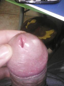 La mia