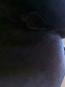 un po di me'