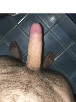 BULL ben dotato