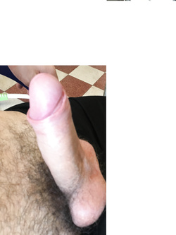 BULL ben dotato