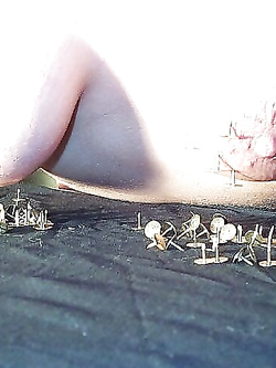 tette Parte 6