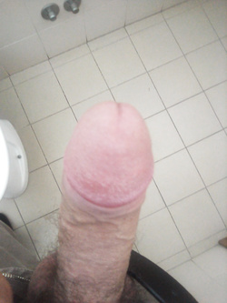 che voglia