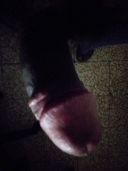 CAZZO BICOLORE