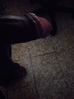 CAZZO BICOLORE