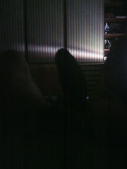 C'è poca luce nea stanza...