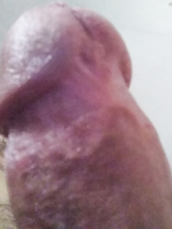 Cazzo speciale 2